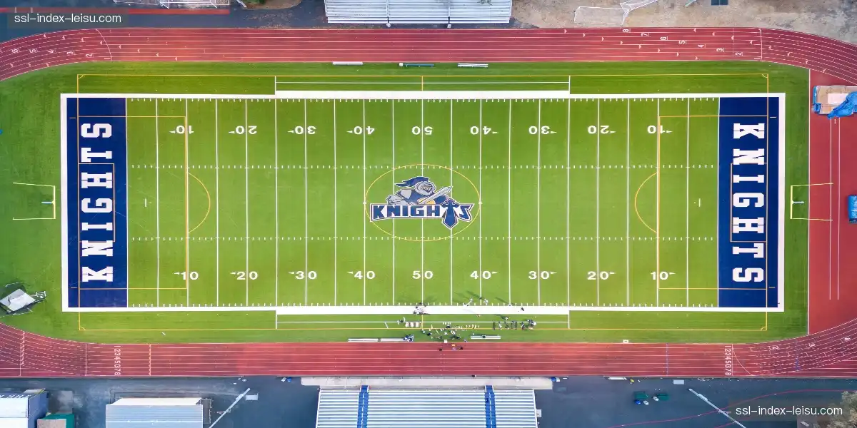 💬 弹幕海啸吞没屏幕，亿万人同频怒吼！🌊